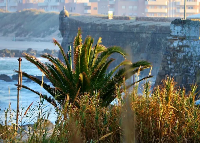 Surf Private 1 Apartment Peniche